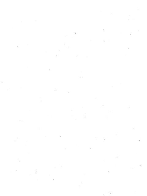 DaniNordic
